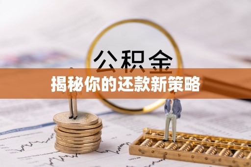 鄂伦春揭秘你的还款新策略