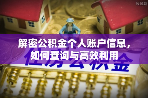 鄂伦春解密公积金个人账户信息，如何查询与高效利用