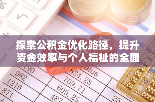 鄂伦春探索公积金优化路径，提升资金效率与个人福祉的全面解析