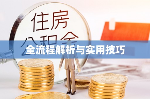 鄂伦春全流程解析与实用技巧