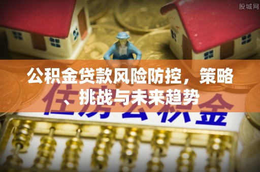 鄂伦春公积金贷款风险防控，策略、挑战与未来趋势