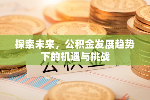 鄂伦春探索未来，公积金发展趋势下的机遇与挑战