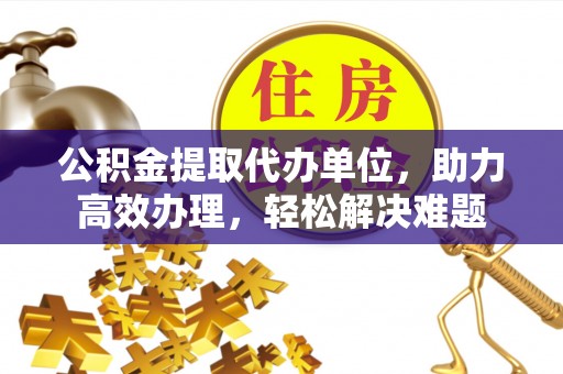 鄂伦春公积金提取代办单位，助力高效办理，轻松解决难题