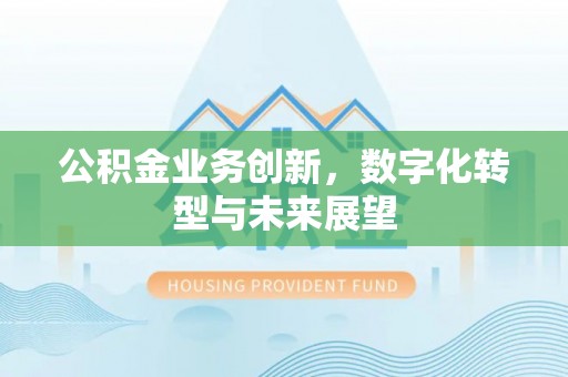 鄂伦春公积金业务创新，数字化转型与未来展望