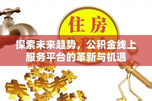 鄂伦春探索未来趋势，公积金线上服务平台的革新与机遇