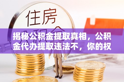 鄂伦春揭秘公积金提取真相，公积金代办提取违法不，你的权益如何保障？