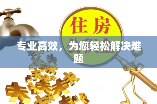 鄂伦春专业高效，为您轻松解决难题