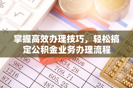 鄂伦春掌握高效办理技巧，轻松搞定公积金业务办理流程