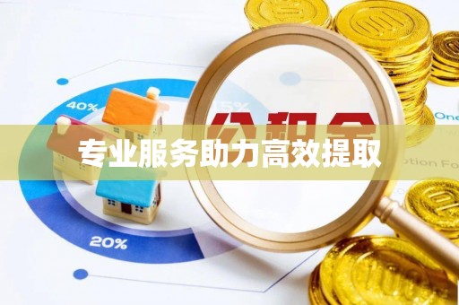 鄂伦春专业服务助力高效提取