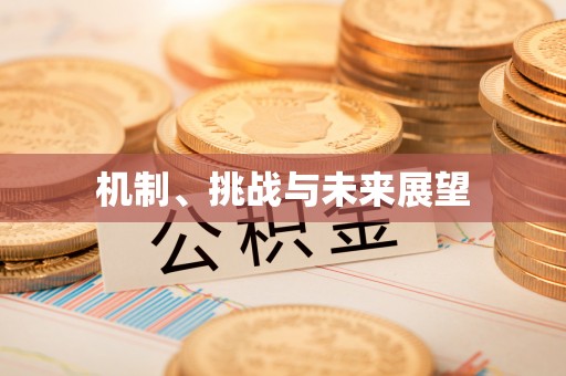 鄂伦春机制、挑战与未来展望