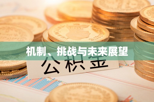 鄂伦春机制、挑战与未来展望